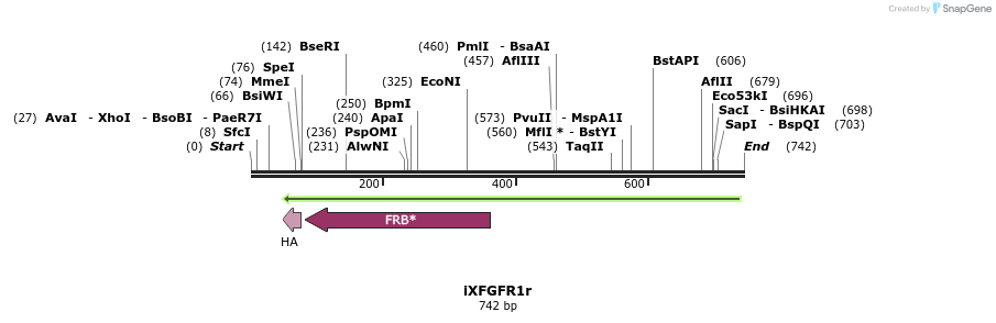 37953_map
