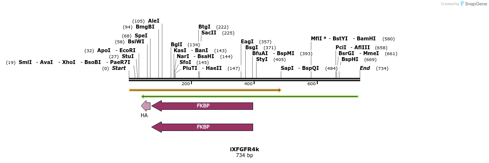 37955_map