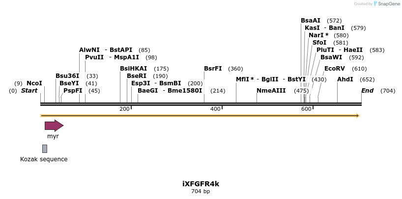 37956_map