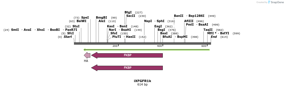 37958_map
