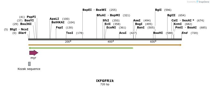 37959_map