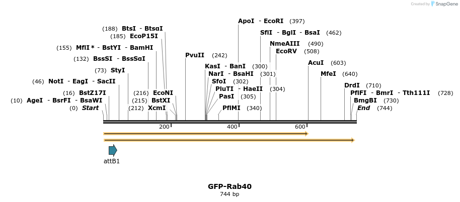 37960_map