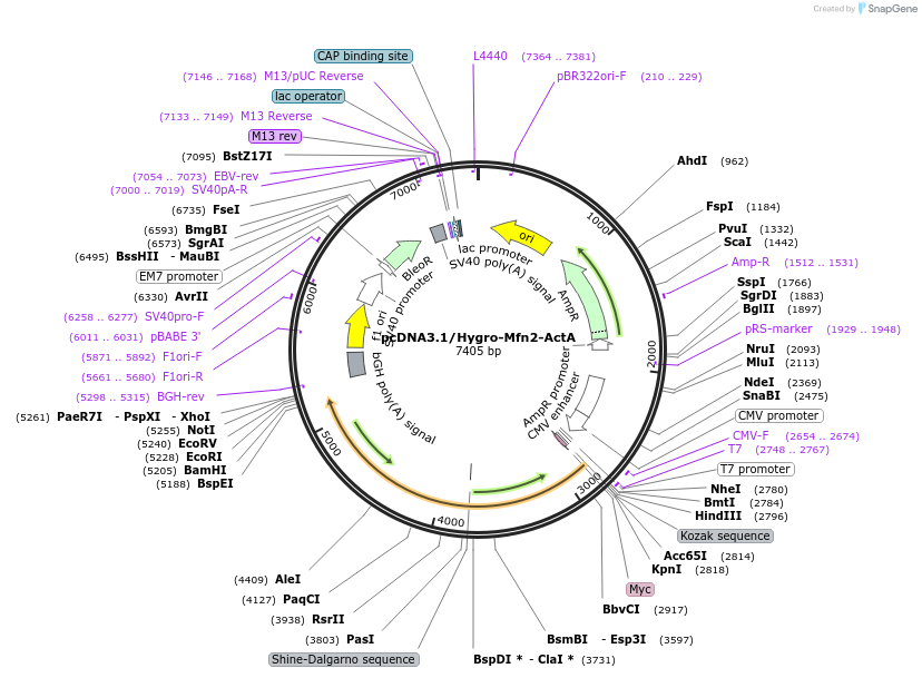 379603_map