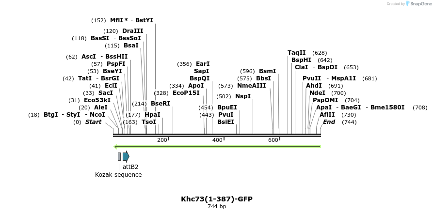 37961_map