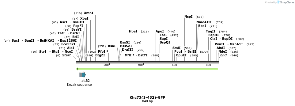 37963_map