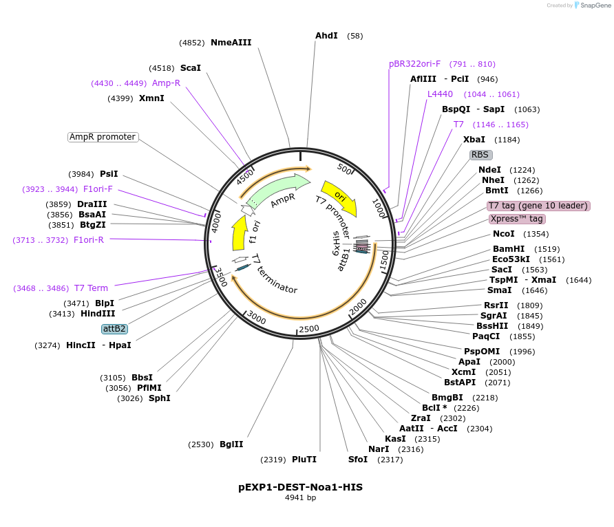 379639_map