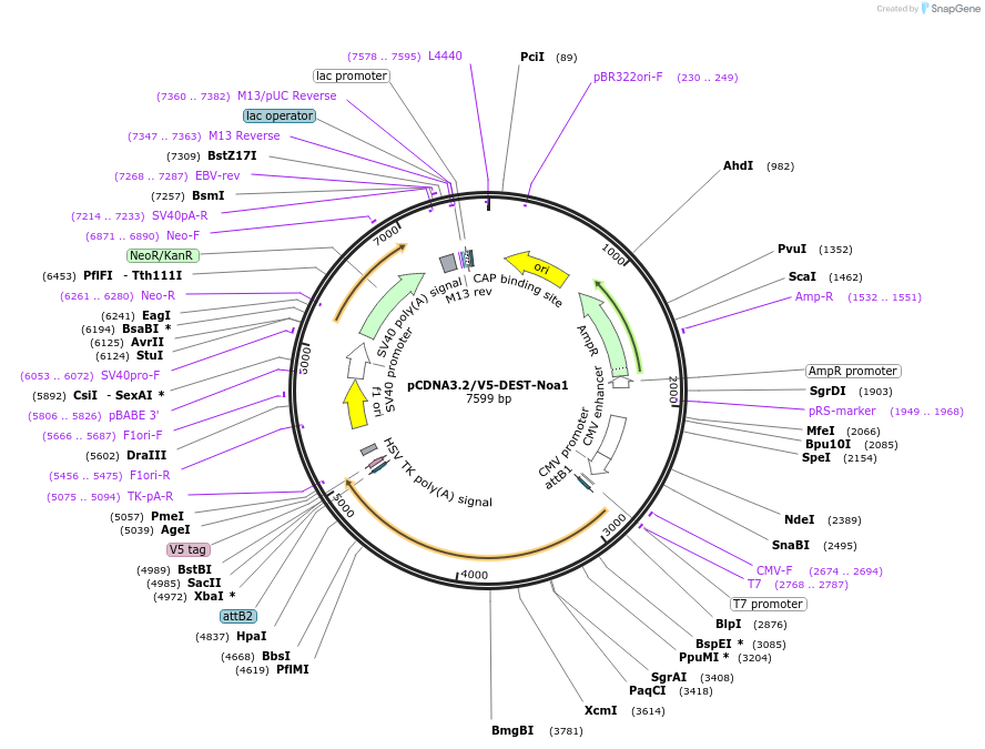 379647_map