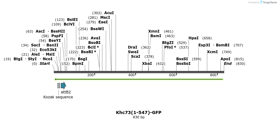 37967_map