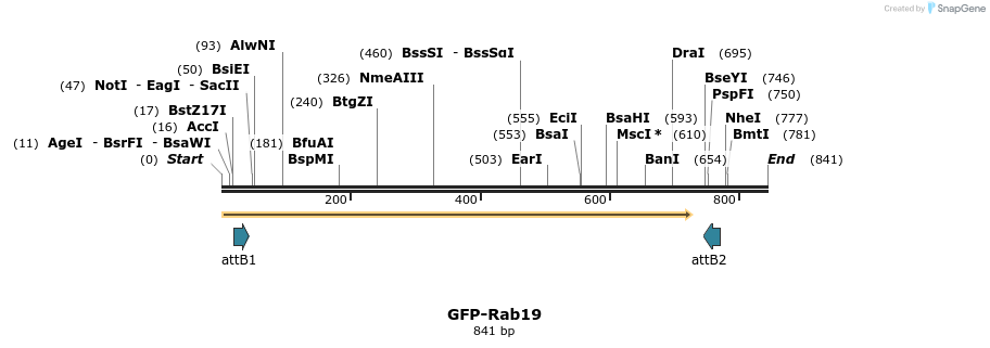37972_map
