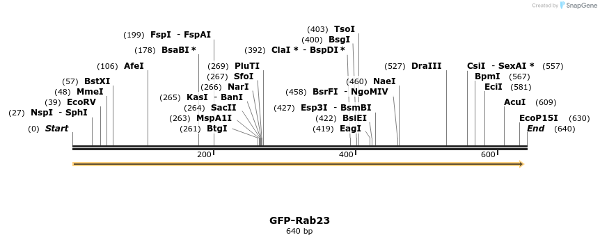 37973_map
