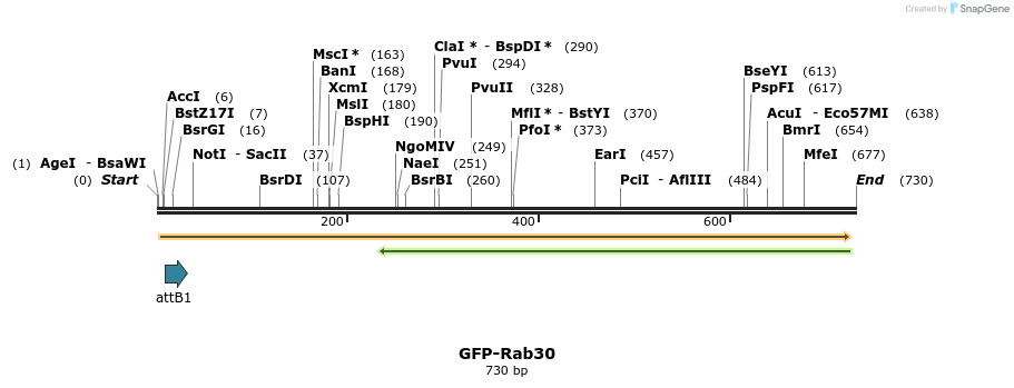 37974_map