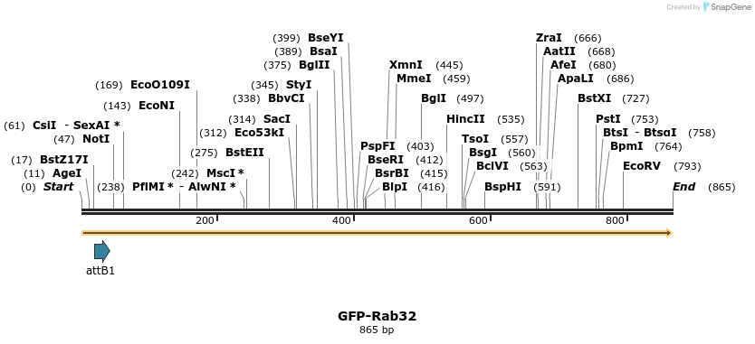 37975_map