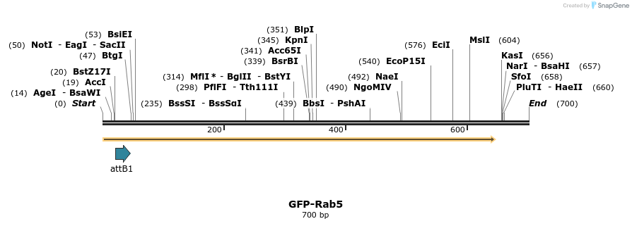 37976_map