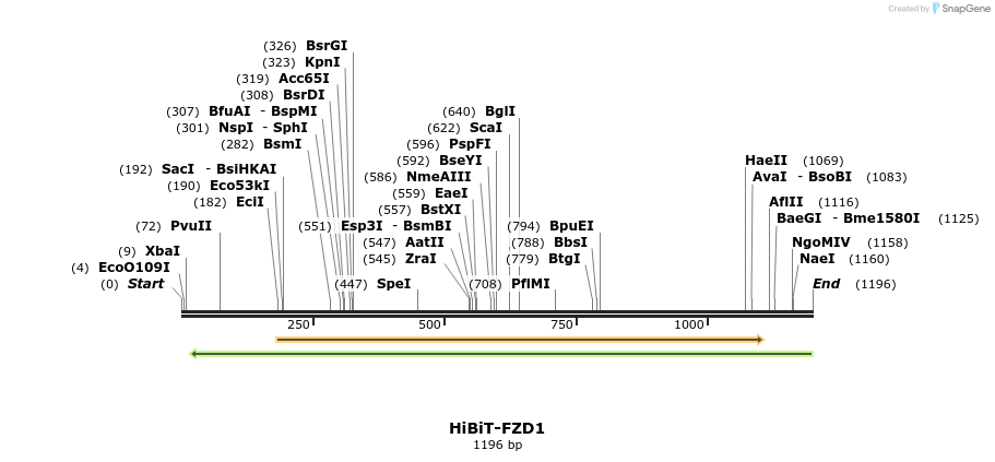 379761_map