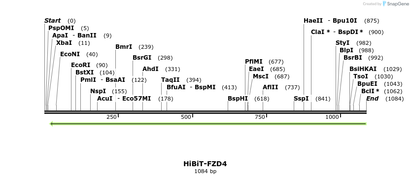 379765_map