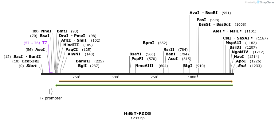 379766_map