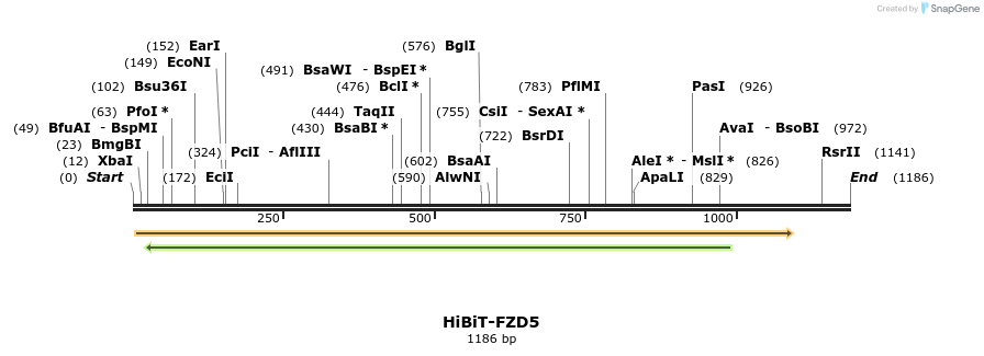 379767_map