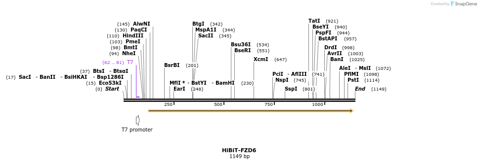 379768_map
