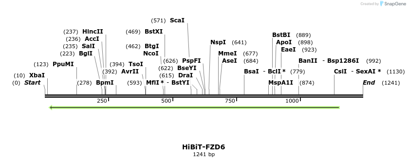 379769_map