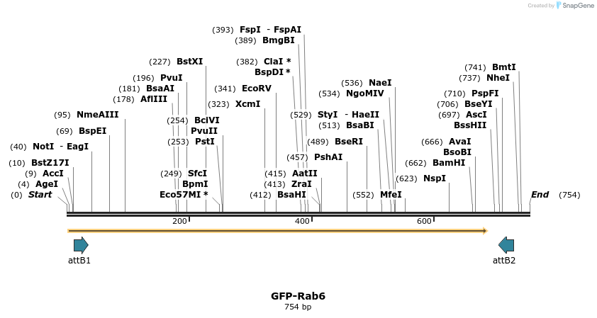 37977_map