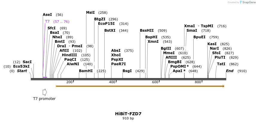 379770_map