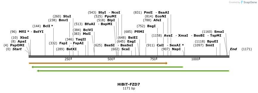 379771_map