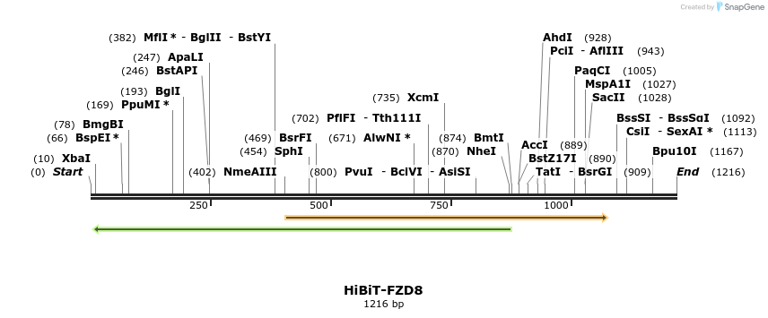 379773_map