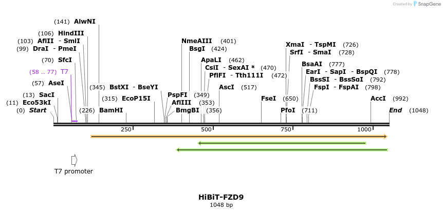 379774_map
