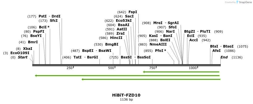 379777_map