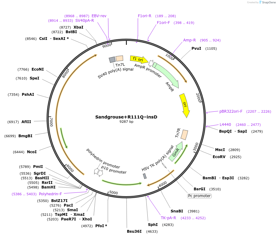 379801_map