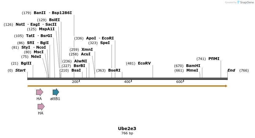 37981_map