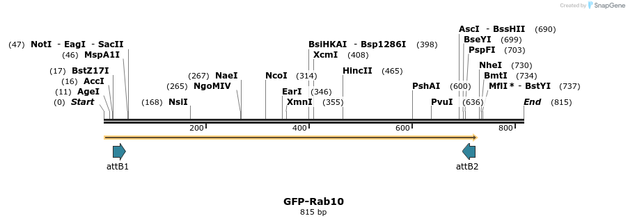 37982_map