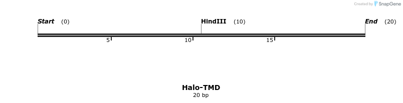 379877_map