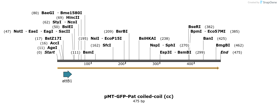 37988_map