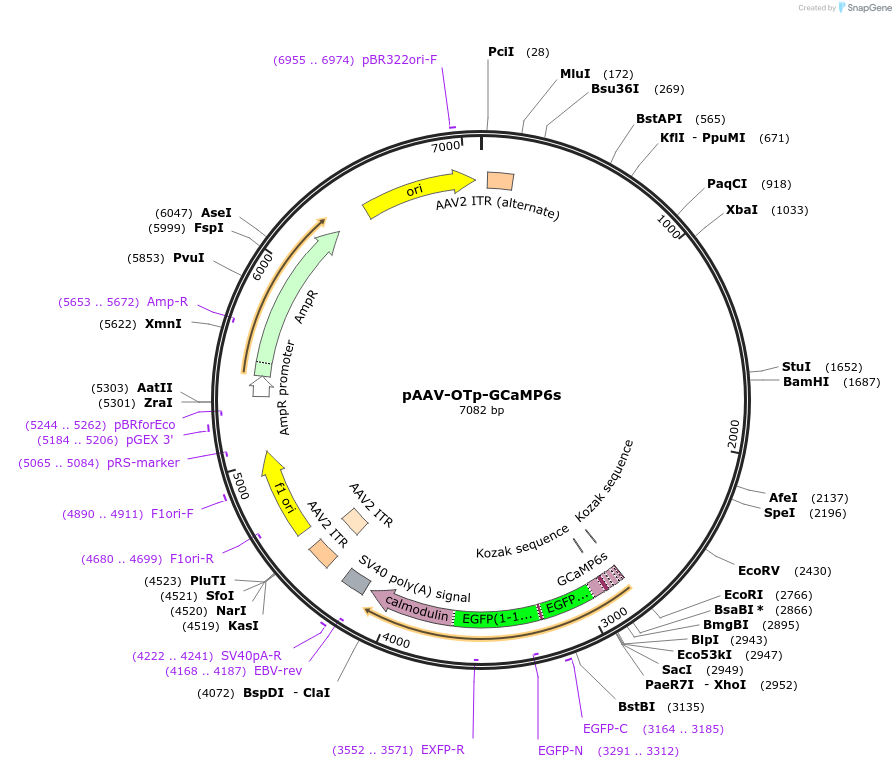 379895_map