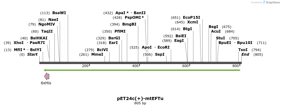 37991_map