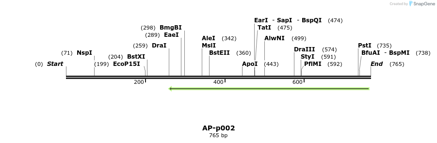 37992_map