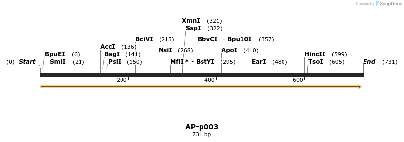 37993_map