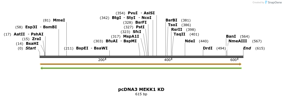 37995_map