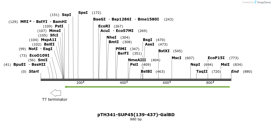 37998_map