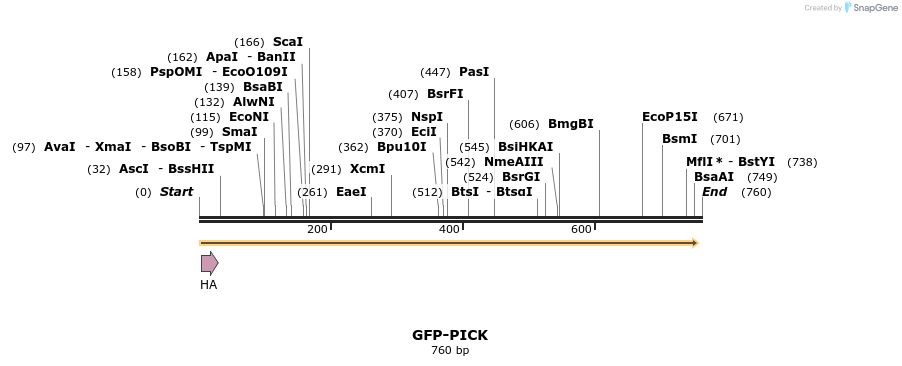 38001_map