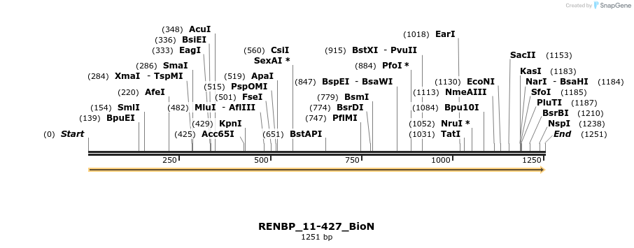 380019_map