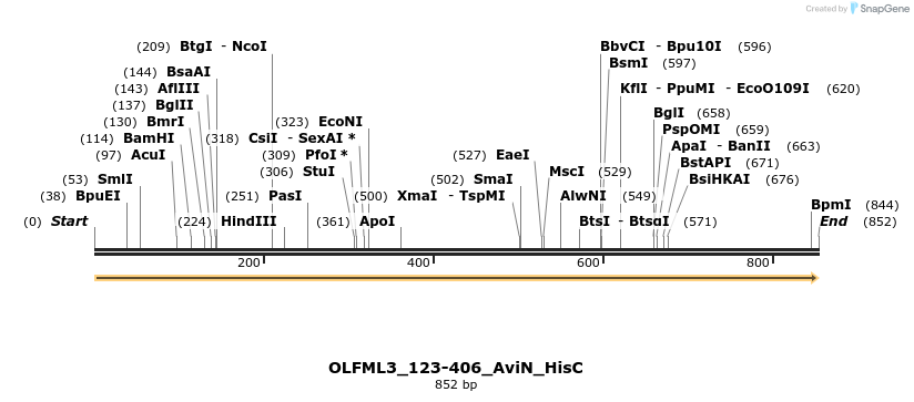 380021_map