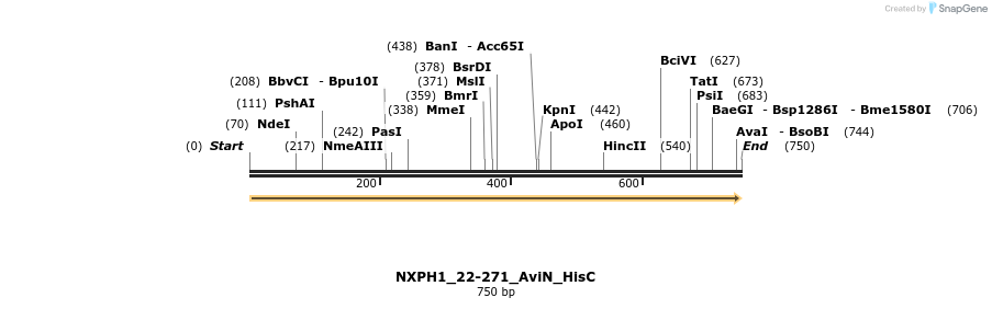 380022_map
