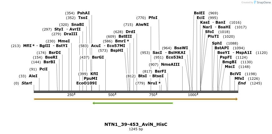380023_map