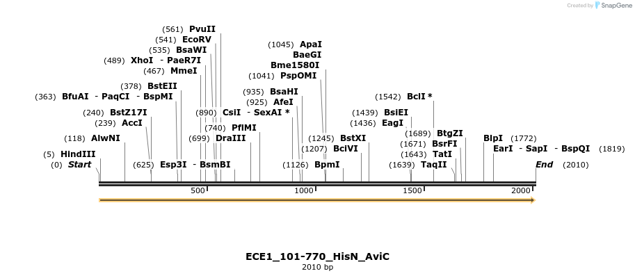 380025_map