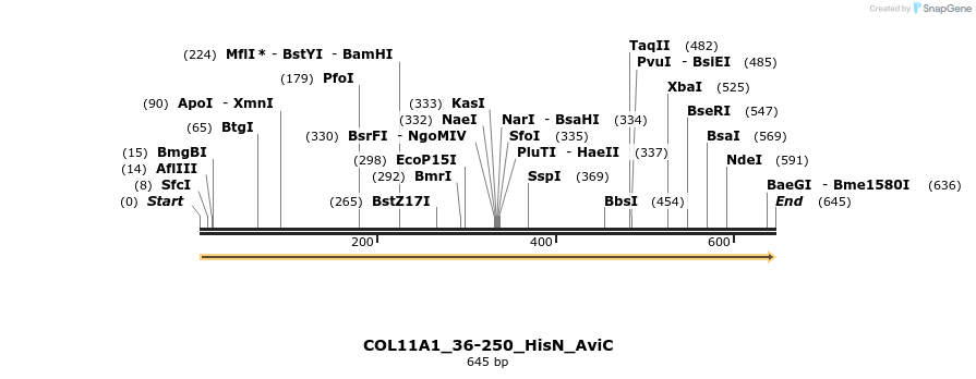 380028_map