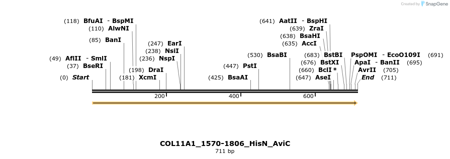 380029_map