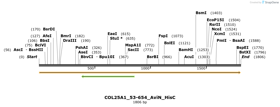 380030_map