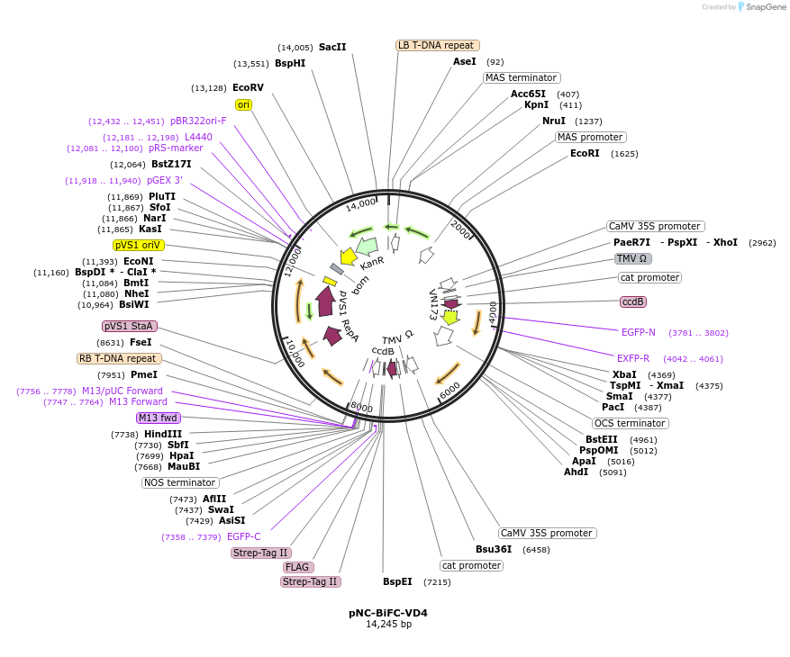 380040_map